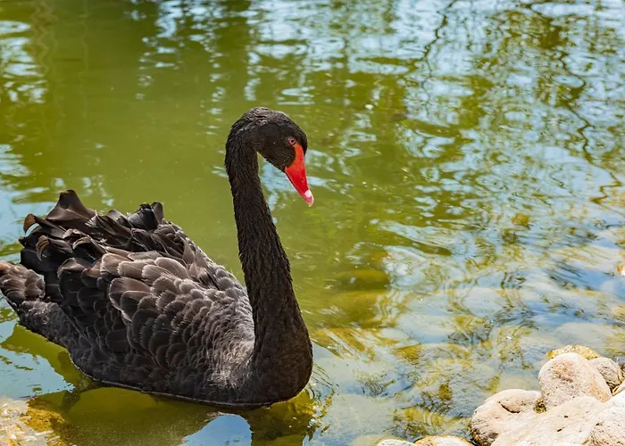 Menada In Cascadas Солнечный берег